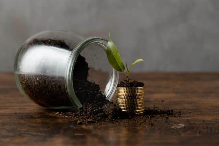 Investir pour un avenir financier solide !