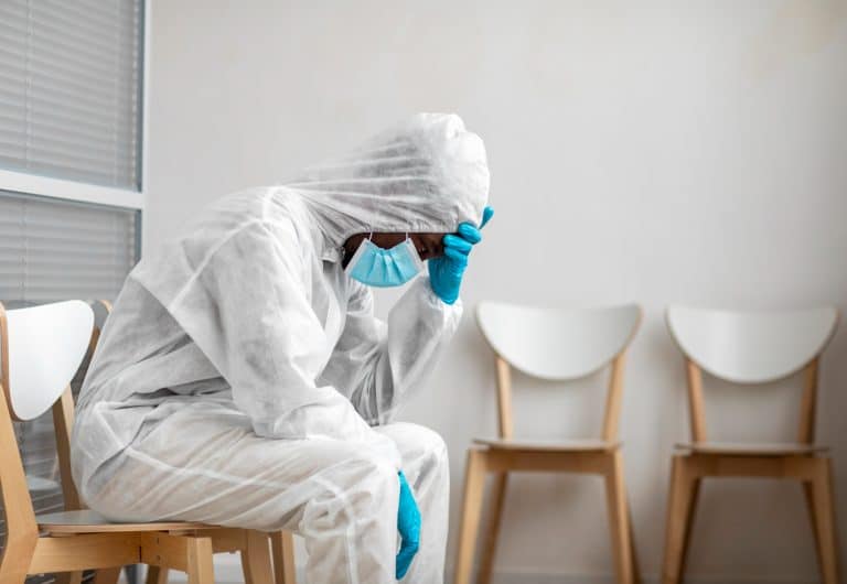 Solutions professionnelles pour un environnement sain face aux rats dans votre commerce